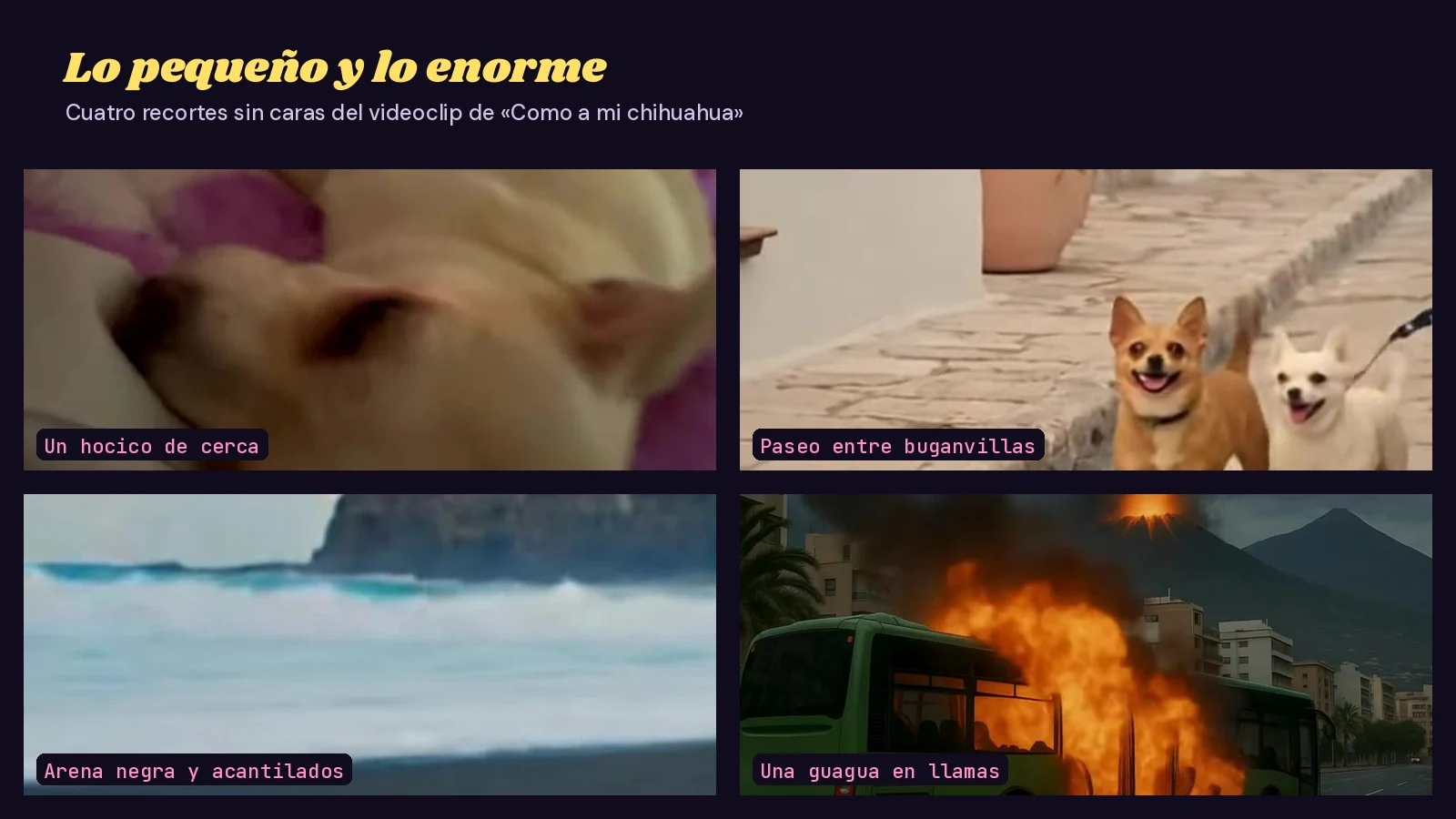 Mosaico de cuatro recortes sin caras del videoclip de «Como a mi chihuahua»: el hocico de un perrito en primer plano, dos chihuahuas paseando por una calle encalada, el mar ante acantilados de arena negra y una guagua verde envuelta en llamas