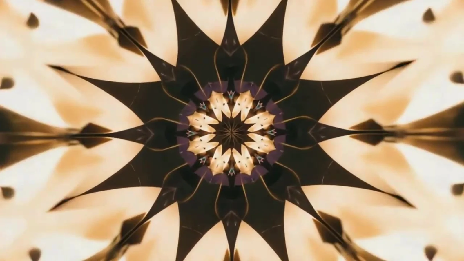 Fotograma del videoclip de «Ataúd de neón»: un caleidoscopio de tonos crema y marrón oscuro con forma de flor de pétalos puntiagudos y un centro morado
