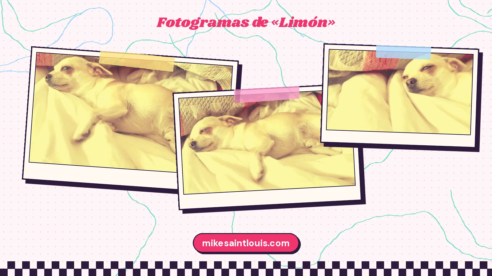 Tres fotogramas del videoclip de «Limón» de Mike Sain't Louis: un chihuahua color crema tumbado de lado sobre un edredón blanco, estirado y luego con los ojos entornados junto a un cojín rojo y gris