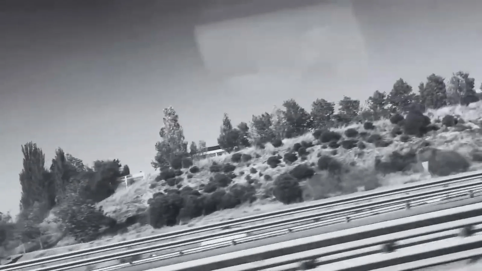 Fotograma en blanco y negro del videoclip de «In the Quiet Room»: un talud lleno de pinos y matorrales junto a una carretera con quitamiedos