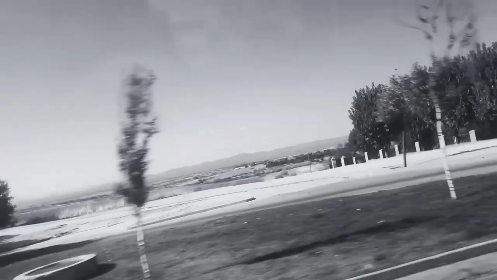 Fotograma en blanco y negro del videoclip de «In the Quiet Room»: un árbol joven y delgado junto a la carretera con una hilera de árboles en el horizonte