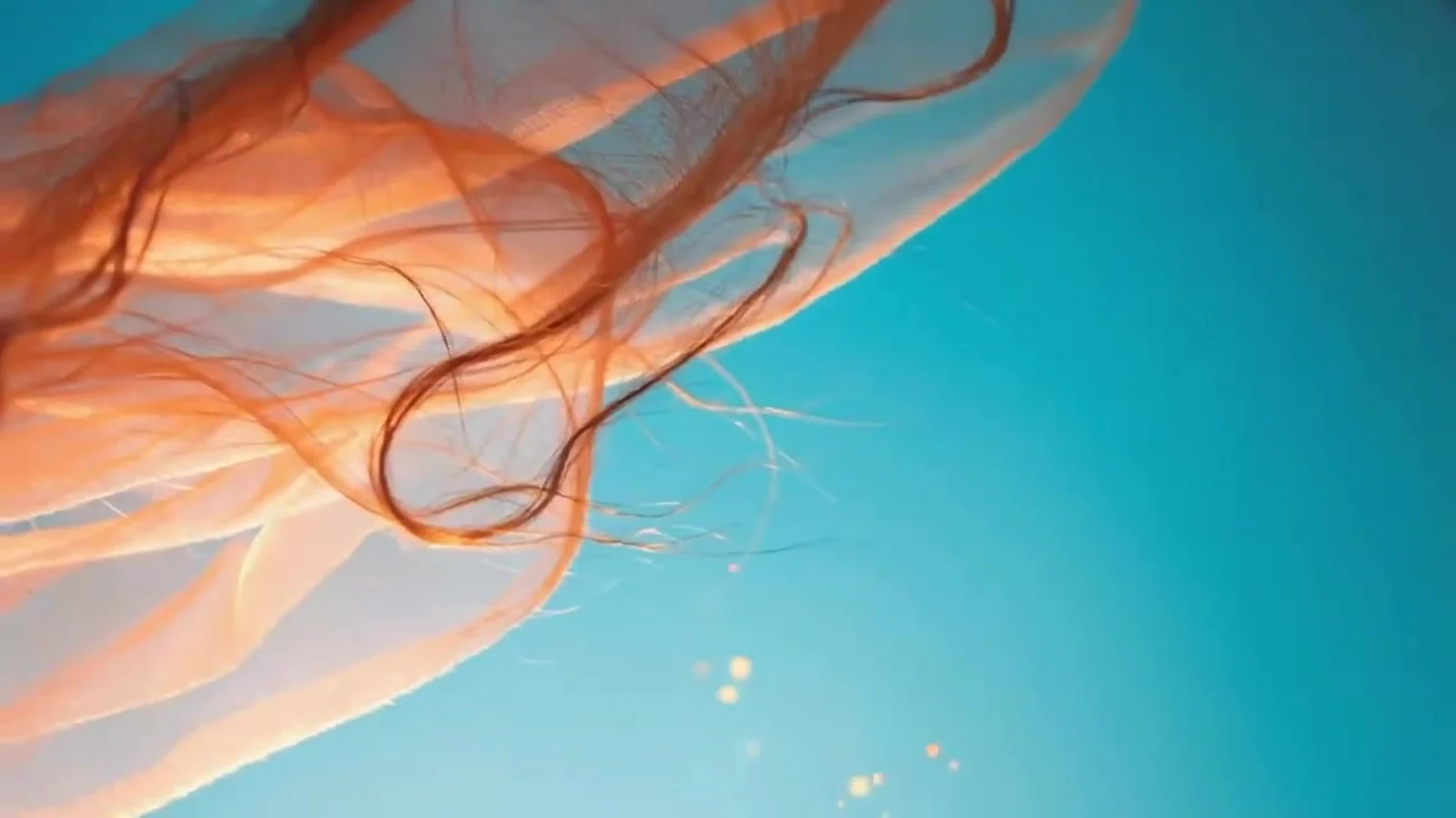 Fotograma del videoclip de «Breeze»: una melena cobriza enredada en un velo transparente vuela contra un cielo turquesa sin nubes