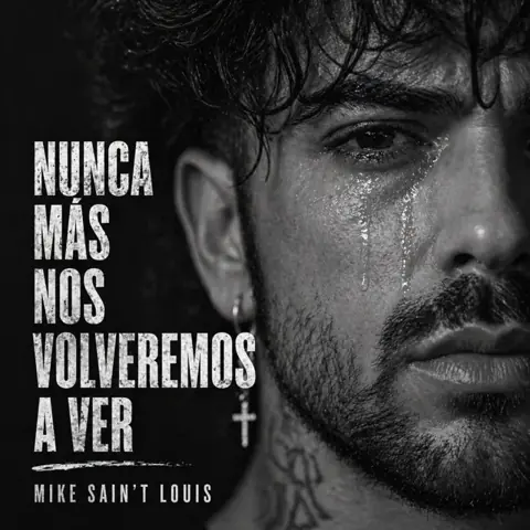 Portada del single NUNCA MÁS NOS VOLVEREMOS A VER