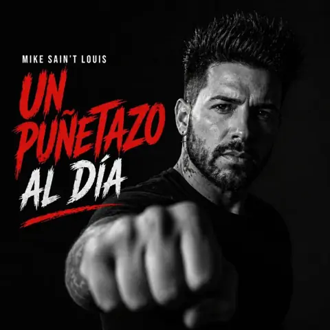 Portada del single Un puñetazo al dia
